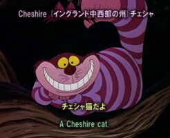 ふしぎの国のアリス英語学習映画14