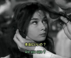 ローマの休日英語学習映画15
